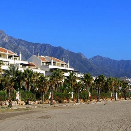 PAISAJISMO - DISEÑO DE JARDINES EN URBANIZACIÓN OASIS DE BANUS EN PUERTO BANUS, MARBELLA, MÁLAGA, ESPAÑA.