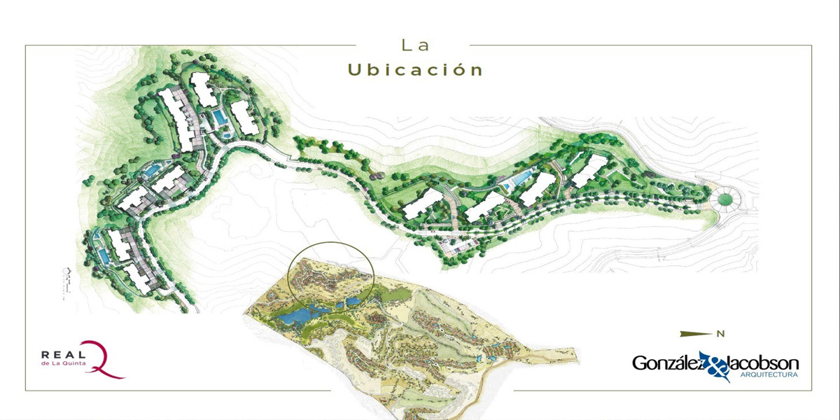 Olivos Urbanizacion Real de La Quinta en Marbella