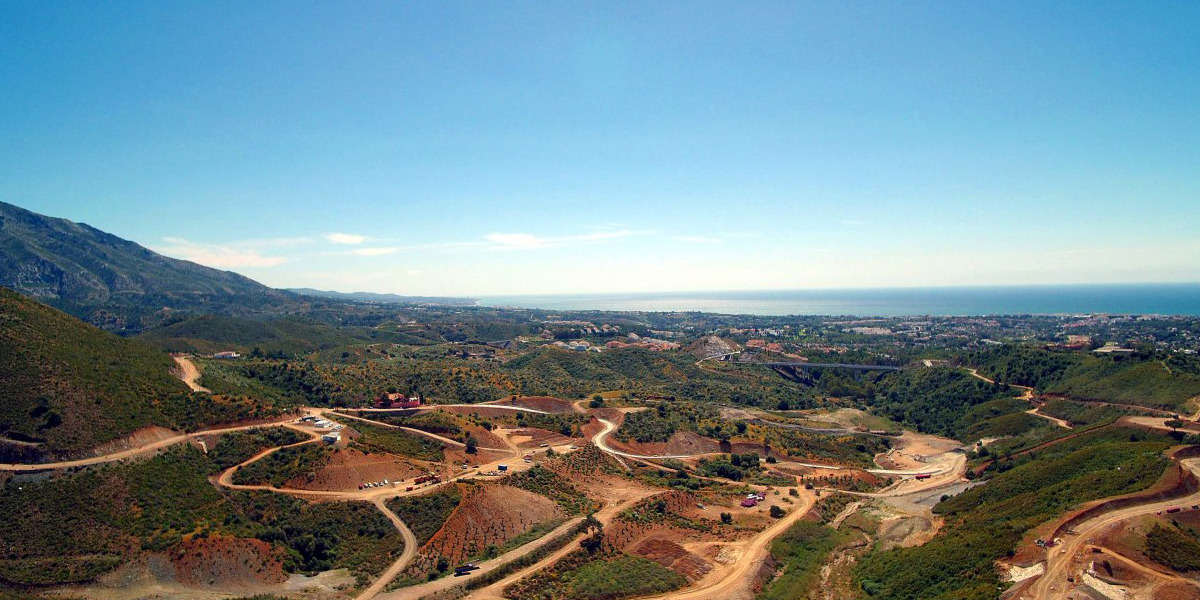 Olivos Urbanizacion Real de La Quinta en Marbella