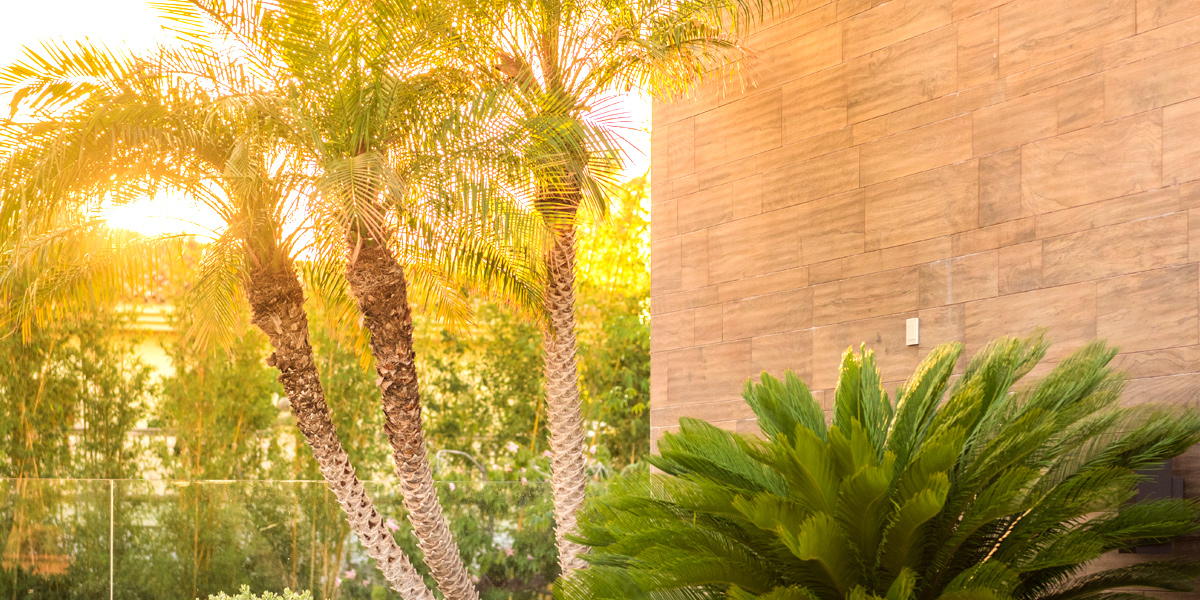 Restaurante Breathe Marbella