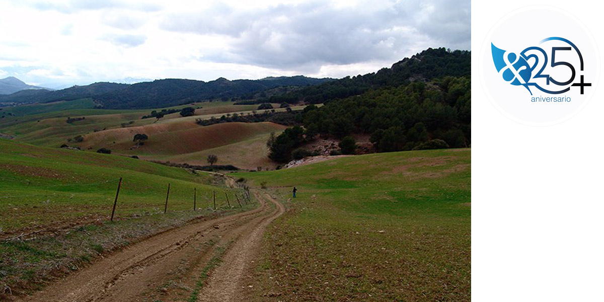 Visita a la Finca La Laja en Ardales Gonzalez & Jacobson Arquitectura