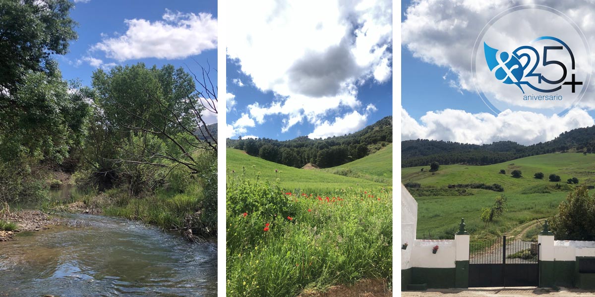 Visita a la Finca La Laja en Ardales Gonzalez & Jacobson Arquitectura