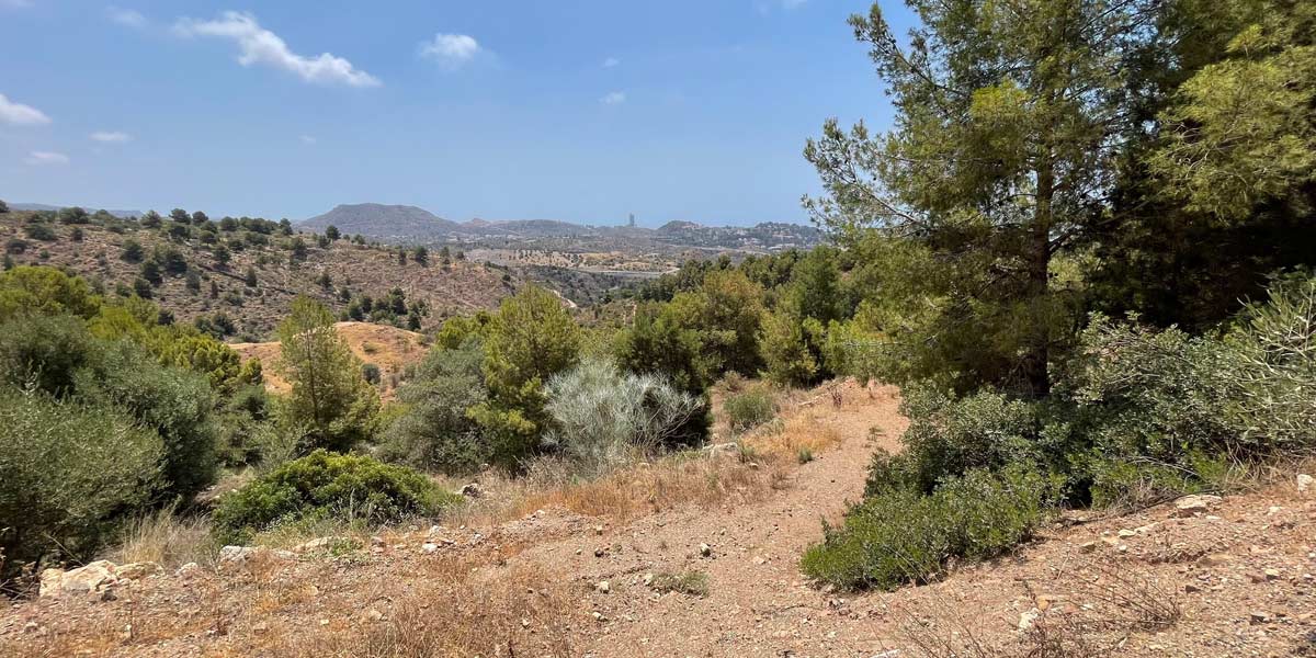 Parcela Pinares de San Anton Malaga - Gonzalez & Jacobson Arquitectura