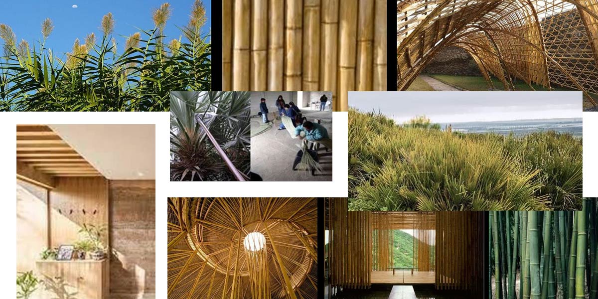 Concurso Los Alamos. Torreguadiaro San Roque. Gonzalez & Jacobson Arquitectura
